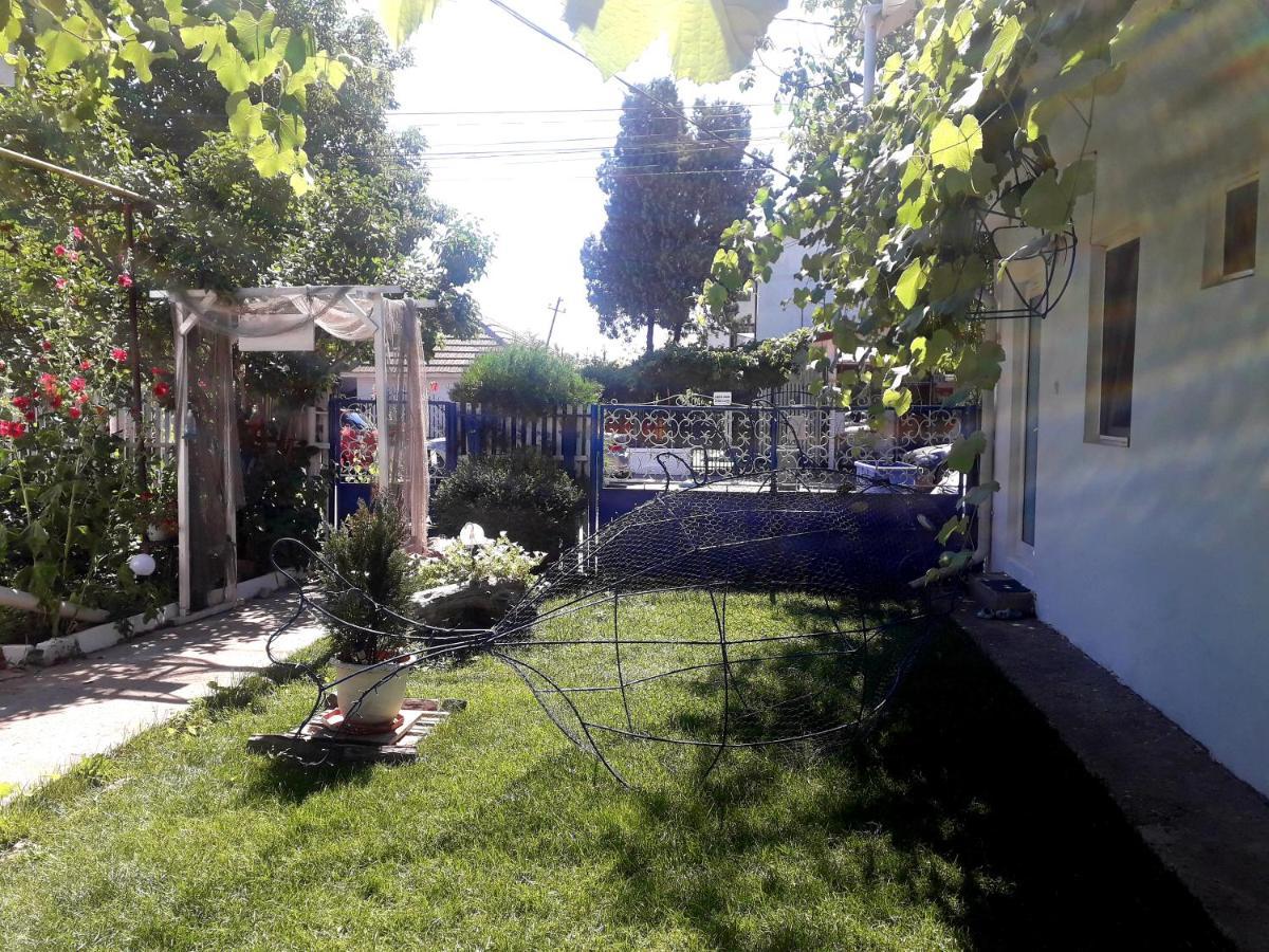Casa Babica Guesthouse Costinesti Ngoại thất bức ảnh