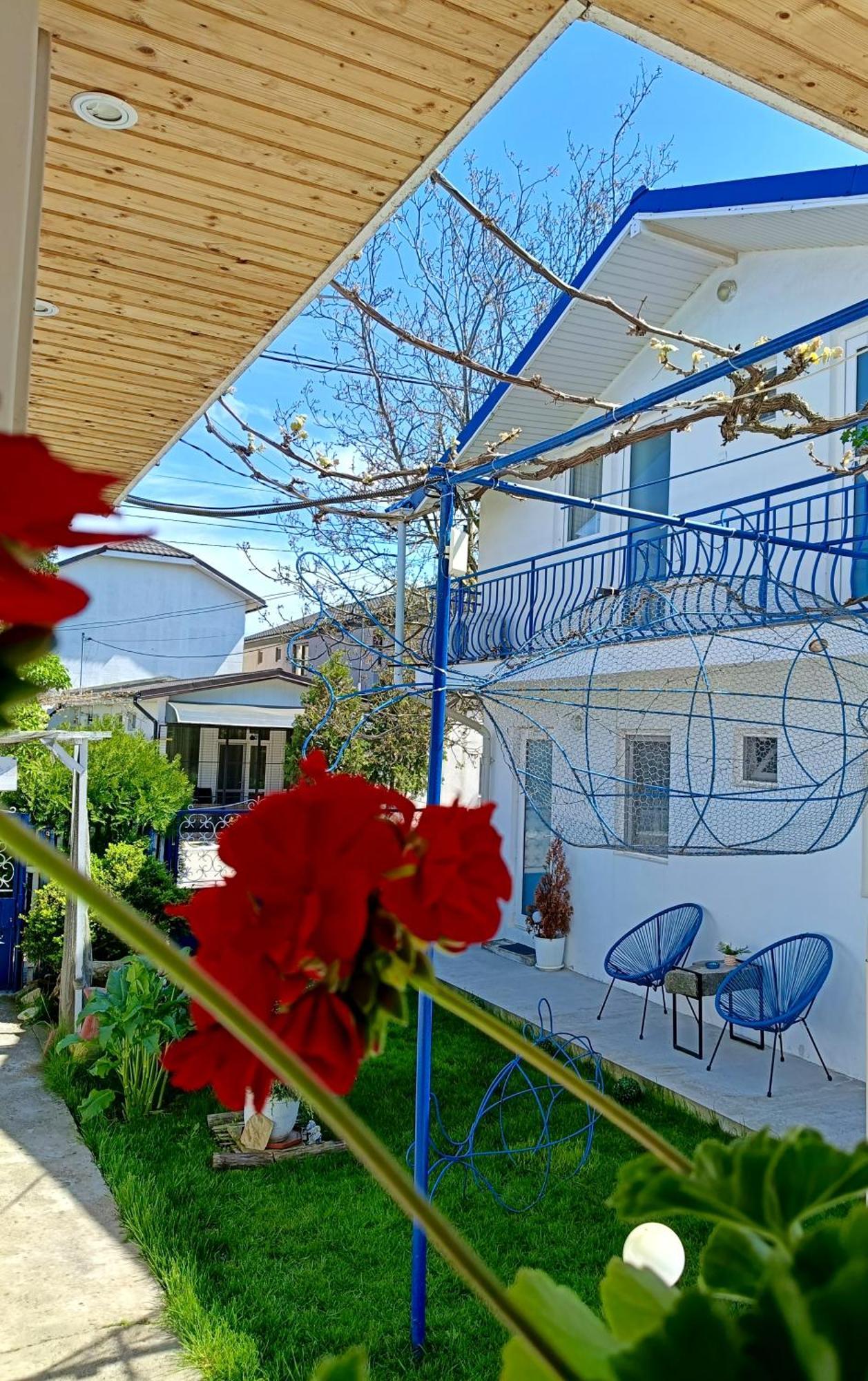 Casa Babica Guesthouse Costinesti Ngoại thất bức ảnh