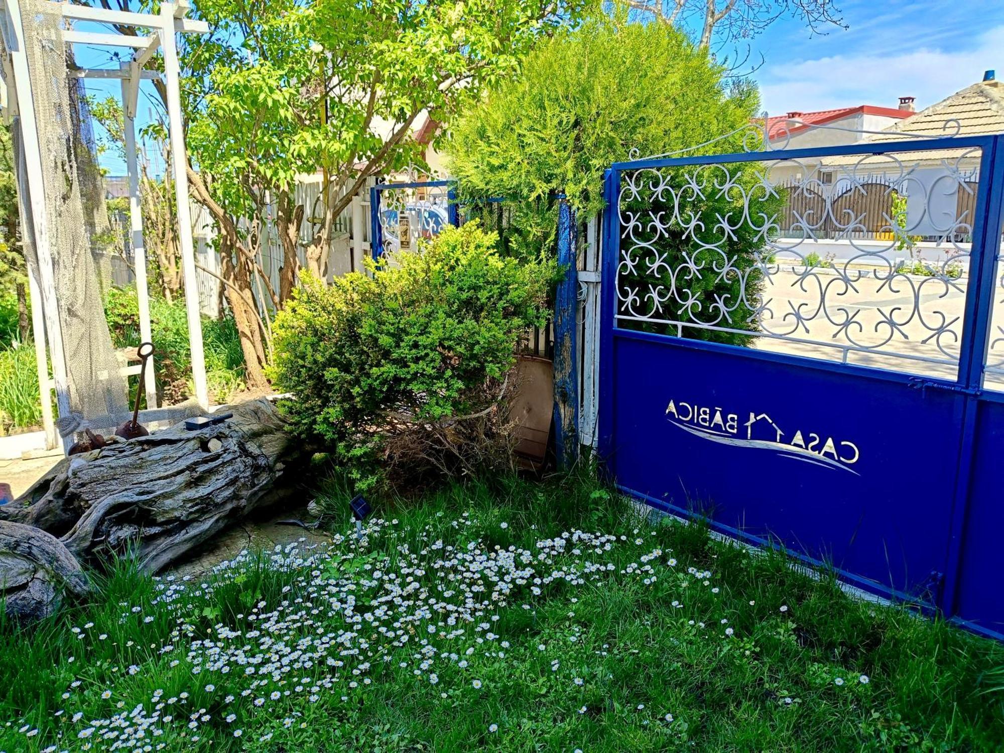 Casa Babica Guesthouse Costinesti Ngoại thất bức ảnh